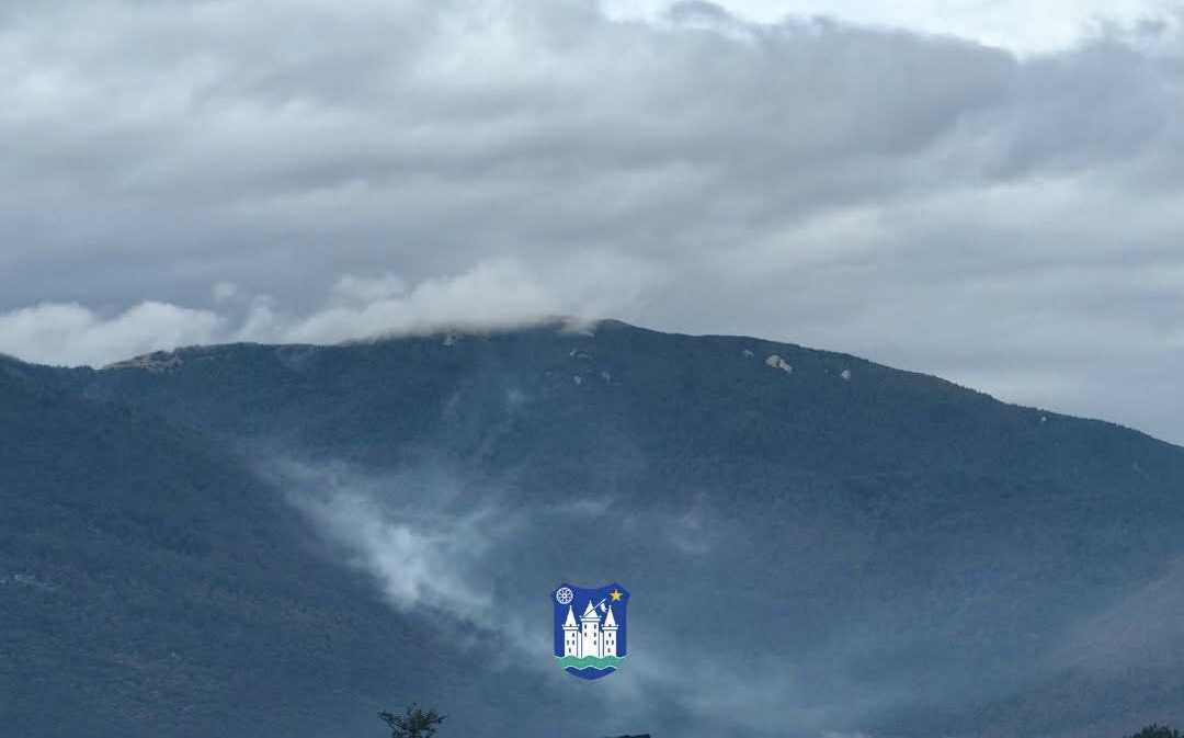 Požar na Plje&scaron;evici pod kontrolom, vatrogasci rade na sprječavanju &scaron;irenja vatre