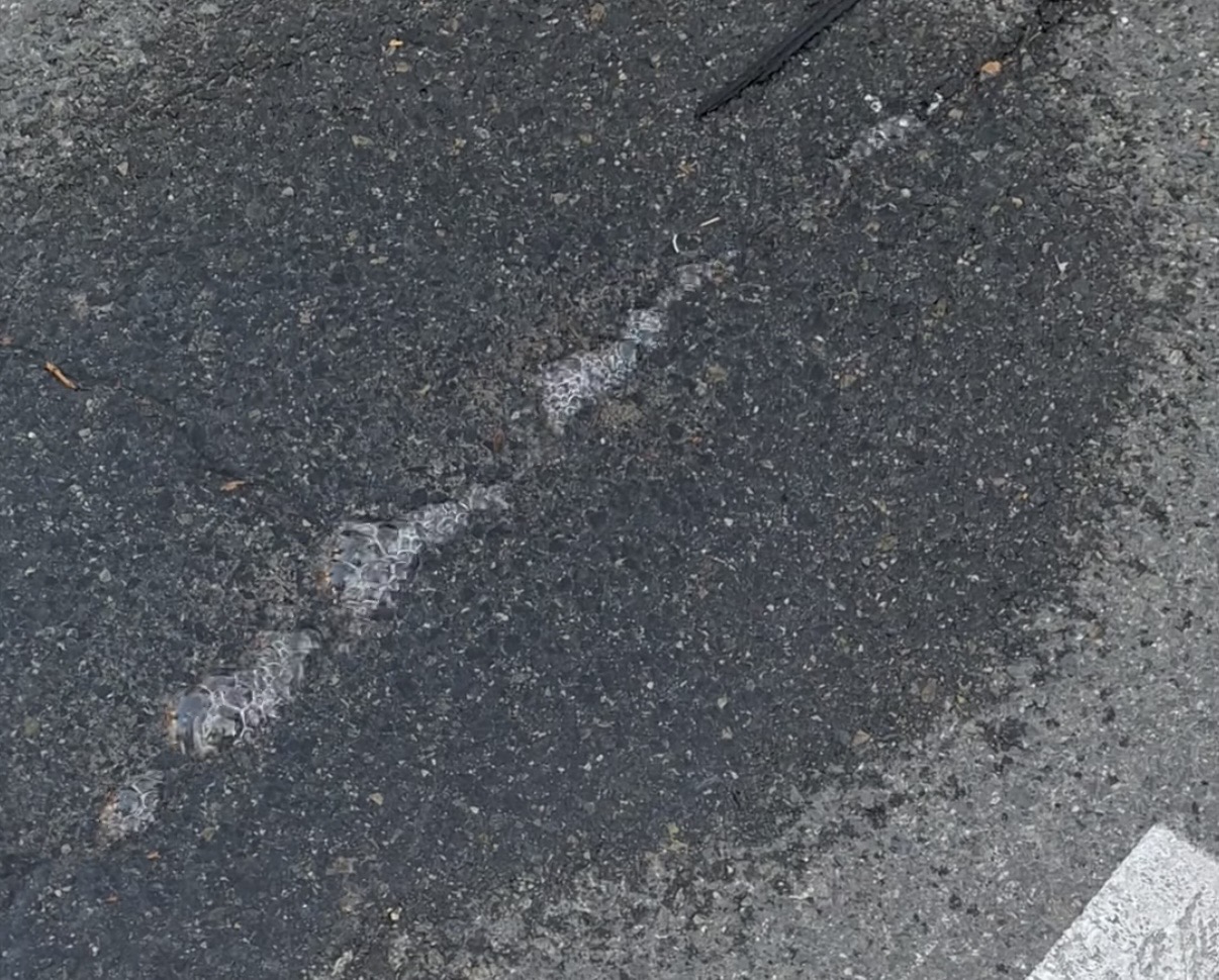 Stanovnici užeg centra Cazina bez vode zbog kvara na vodovodnoj cijevi, JKP Vodovod Cazin radi na sanaciji problema
