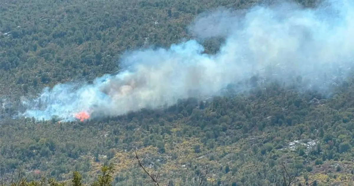 Ponovna aktivacija požara na lokalitetu Pauč, službe na terenu za ga&scaron;enje