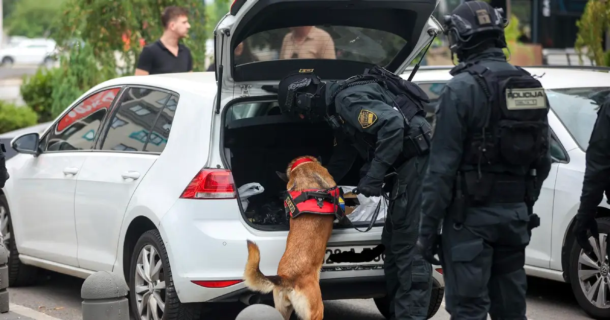 U Sarajevu zaplijenjeno 73 kilograma marihuane, uhap&scaron;en 34-godi&scaron;nji Nihad Bjelak