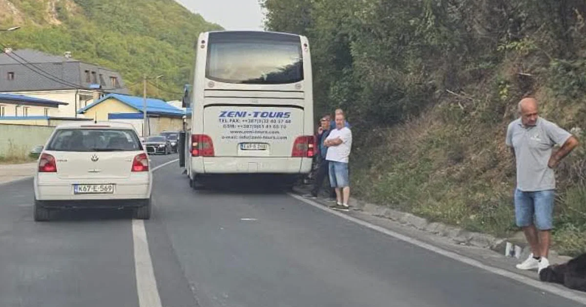 U nesreći kod Travnika medvjed istrčao pred autobus, vozač nije uspio izbjeći sudar
