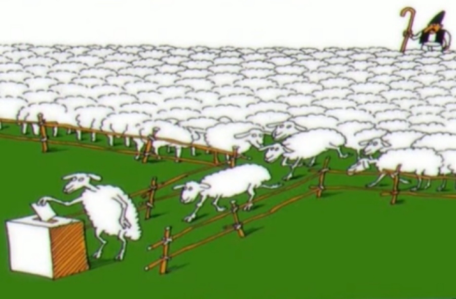 U Palama pred izbore podjela koka nosilja i ovaca izaziva kritike opozicije i komentare sociologa o političkom ponižavanju građana