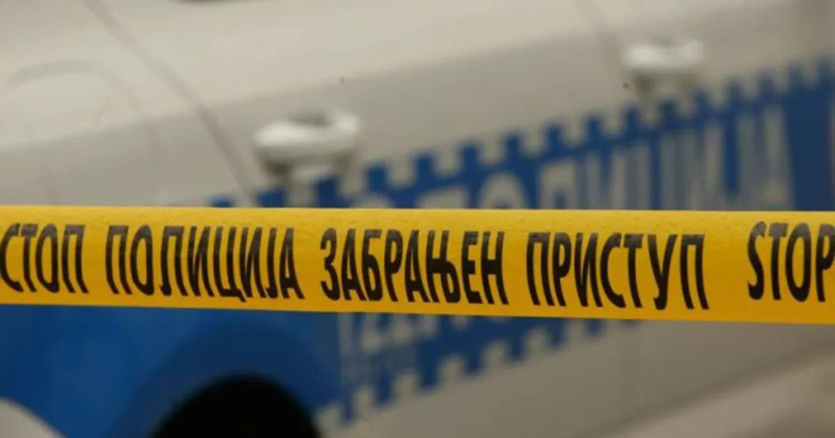 Tragična nesreća u Zvorniku: Osoba inicijala J. A. poginula tokom sječe &scaron;ume