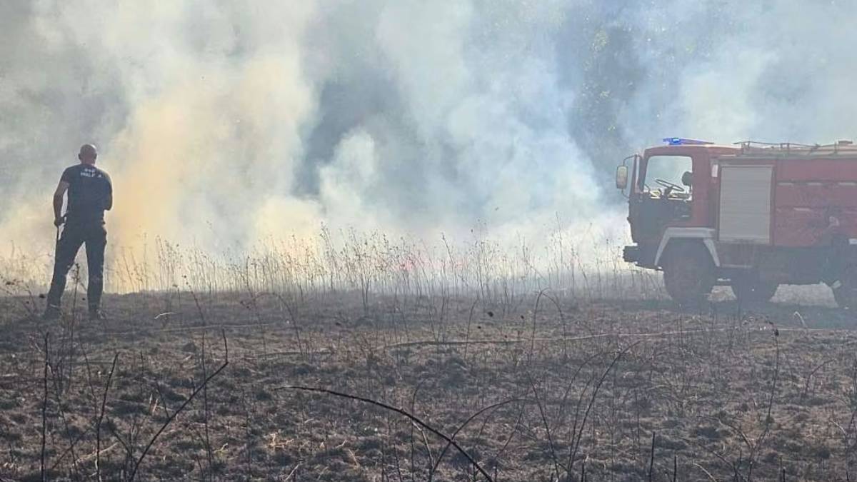 Požar u Tihaljini kod Gruda pod kontrolom, izgorjelo 16 hektara, dio sela bez struje