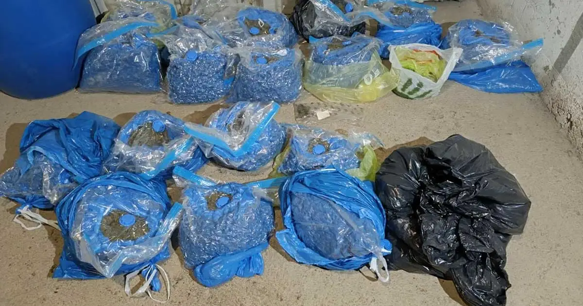 Policija u Doboju zaplijenila 17,7 kilograma marihuane i otkrila plantažu sa 93 stabljike konoplje
