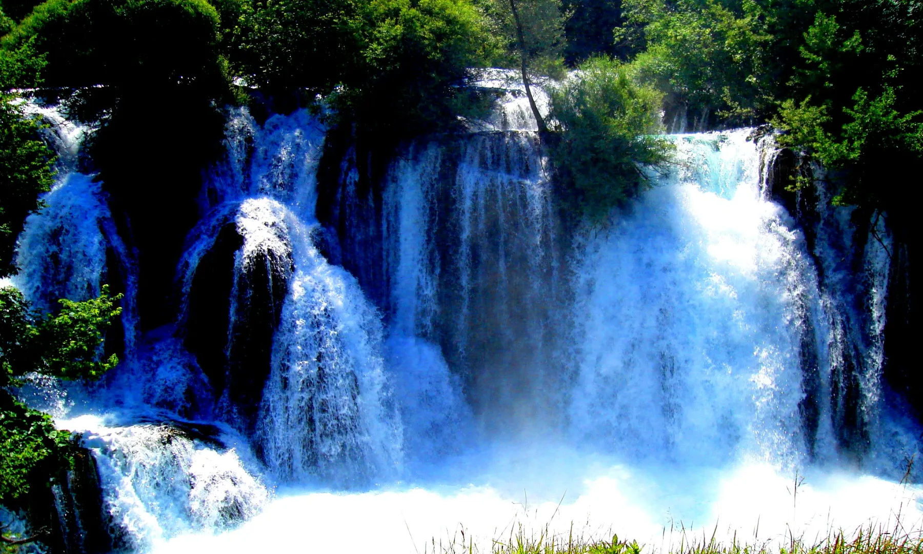 Strbački buk