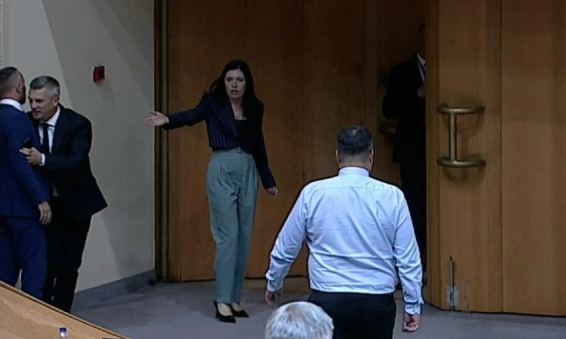 ZASTUPNICI U PD PS BiH MALO SU NERVOZNI I PUNO PLAĆENI: Kritike teško podnose, a neki bi se i tukli (VIDEO)
