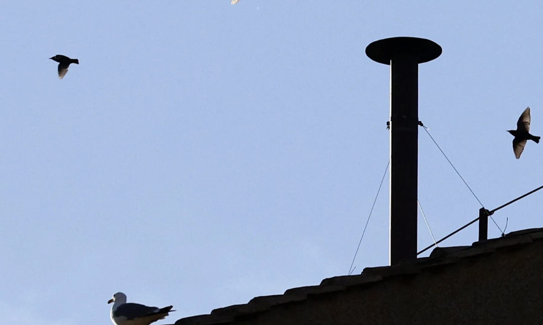 Za koliko novca Vatikan iznajmljuje pozicije s najboljim pogledom na dimnjak: Plaća se suhim zlatom