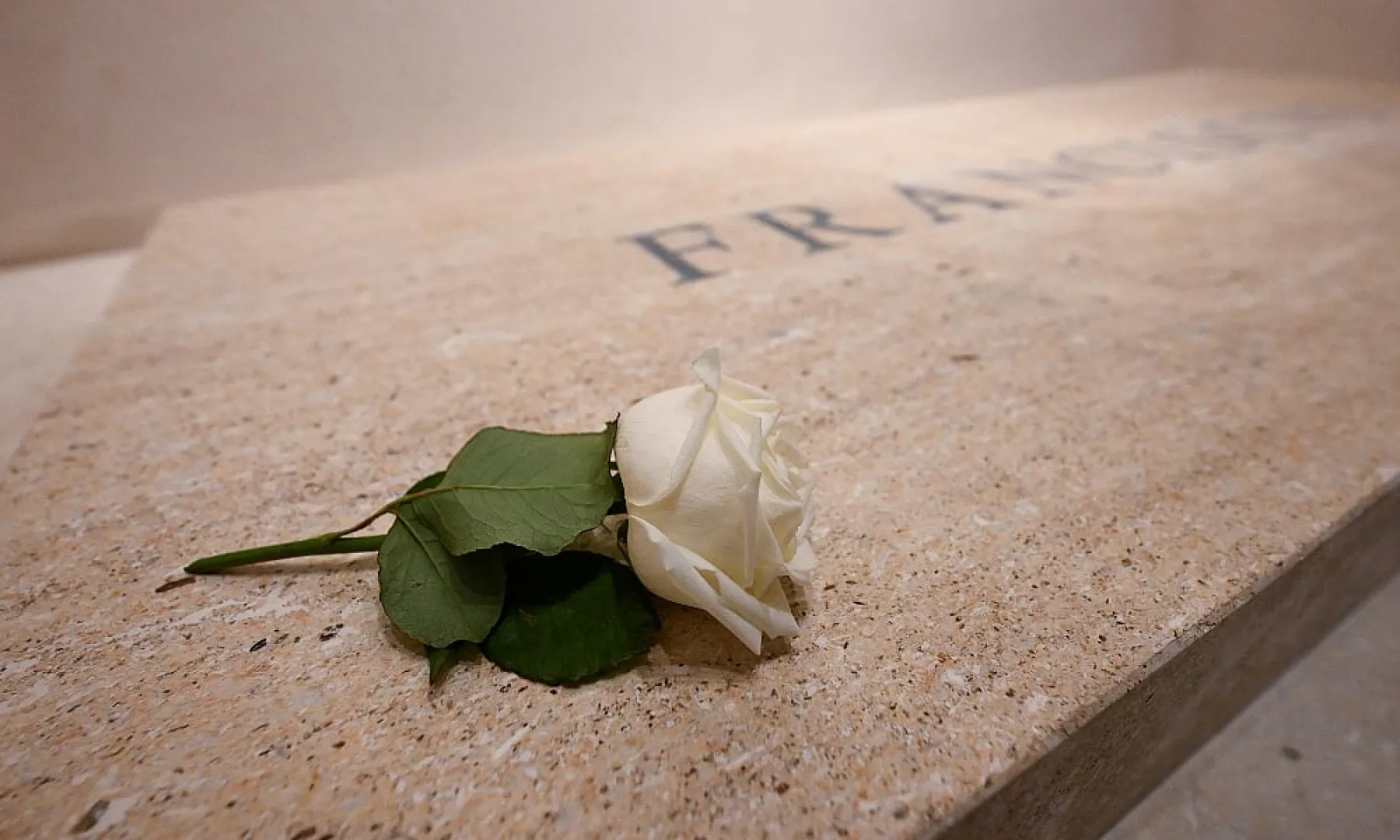 Zašto je na grobu pape Franje ostavljena jedna bijela ruža: Priča o cvijetu koji ga je pratio cijeli život