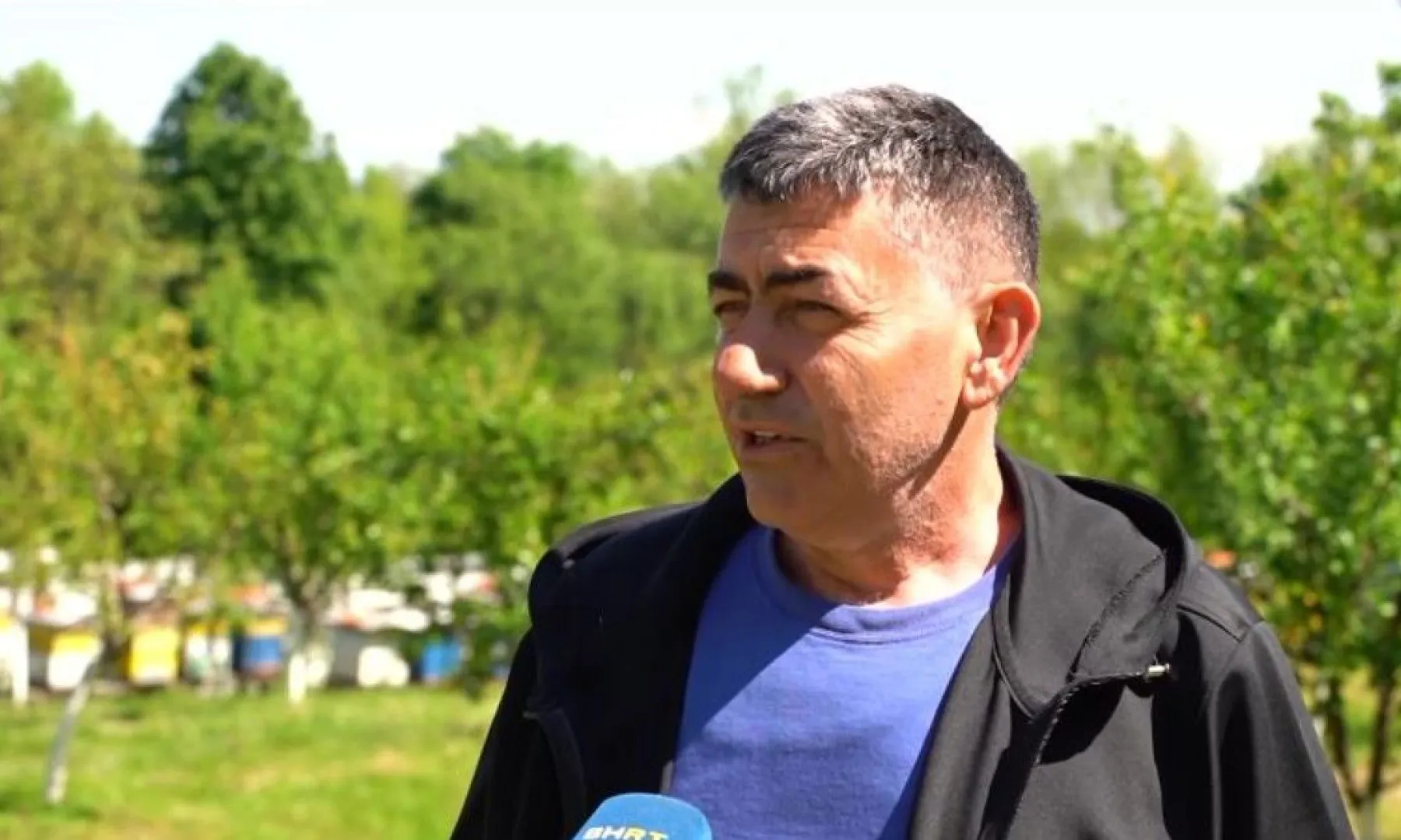Pčelari u BiH zabrinuti zbog velikog pomora pčela, poznati uzroci