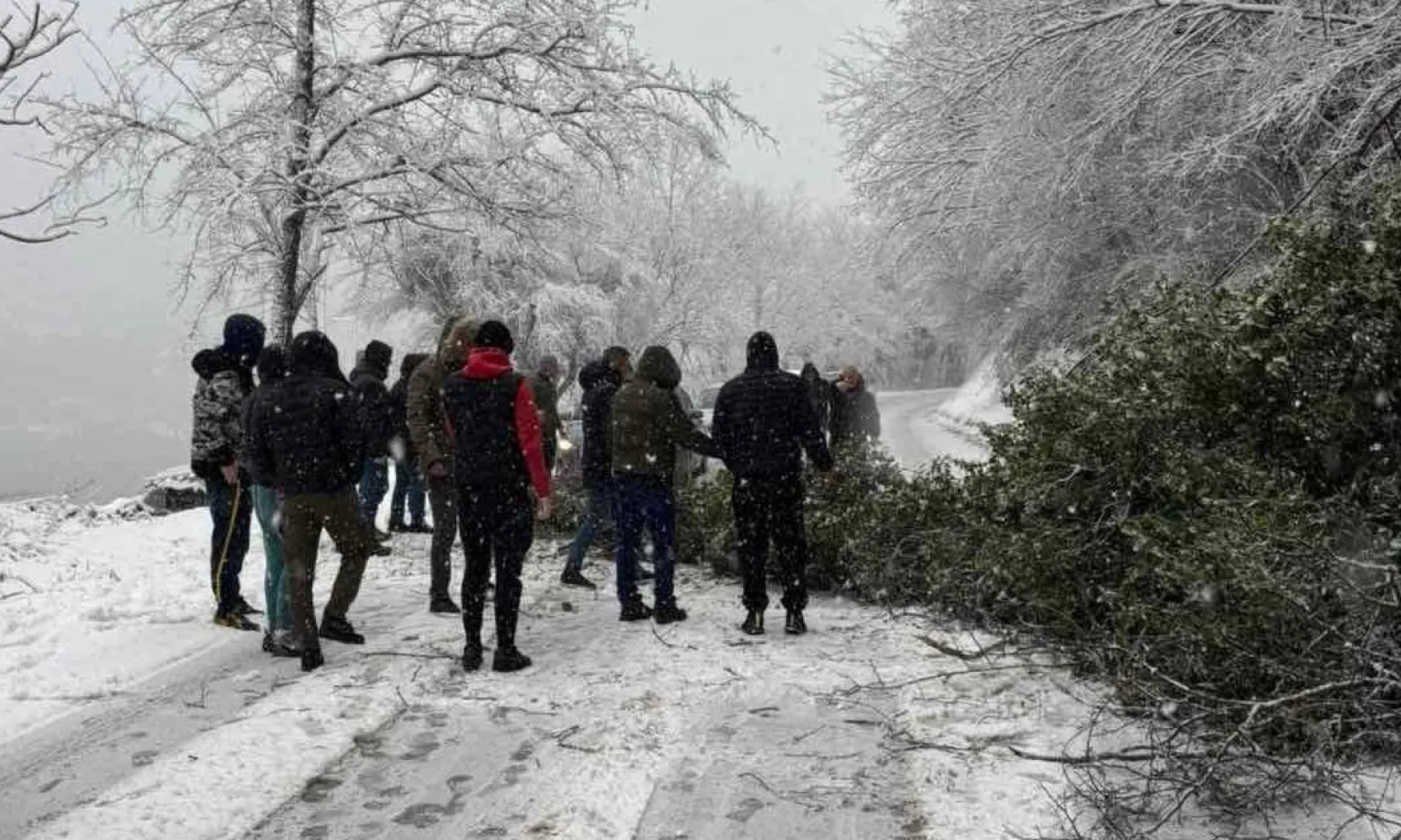Zaustavljen saobraćaj zbog oborenog stabla, brojni problemi na bh. cestama