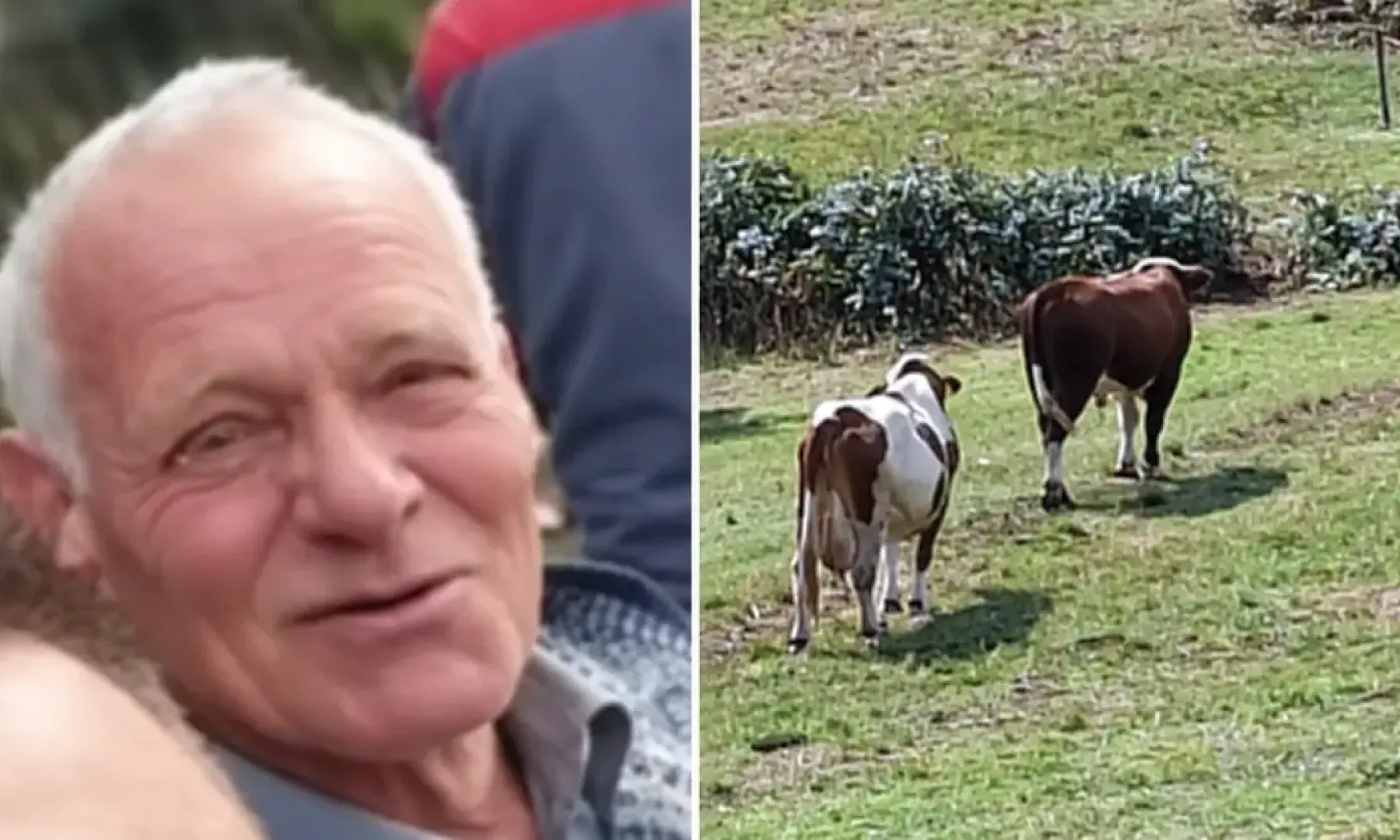 Bik napao Ibrahima Škahića (76) na njivi kod Srebrenika, preminuo od povreda