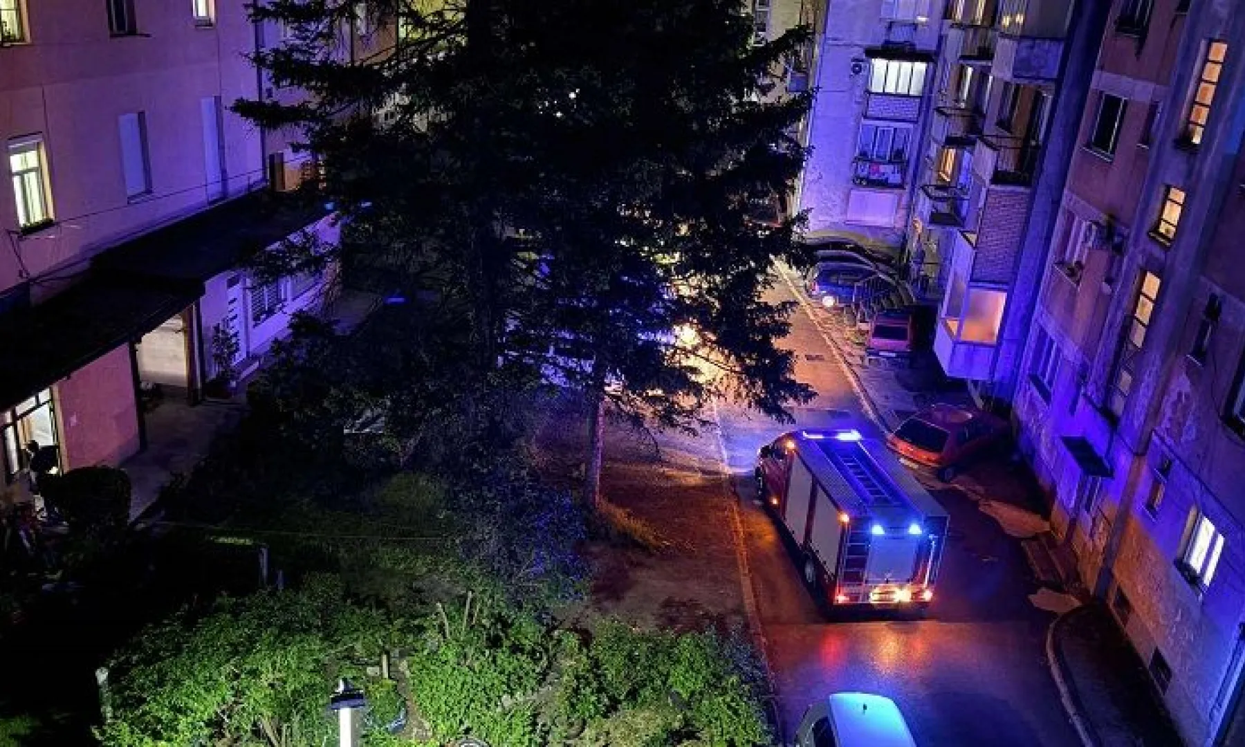 Zmija se zavukla u stan u Konjicu, vlasnicu alarmirale komšije, intervenirali i vatrogasci