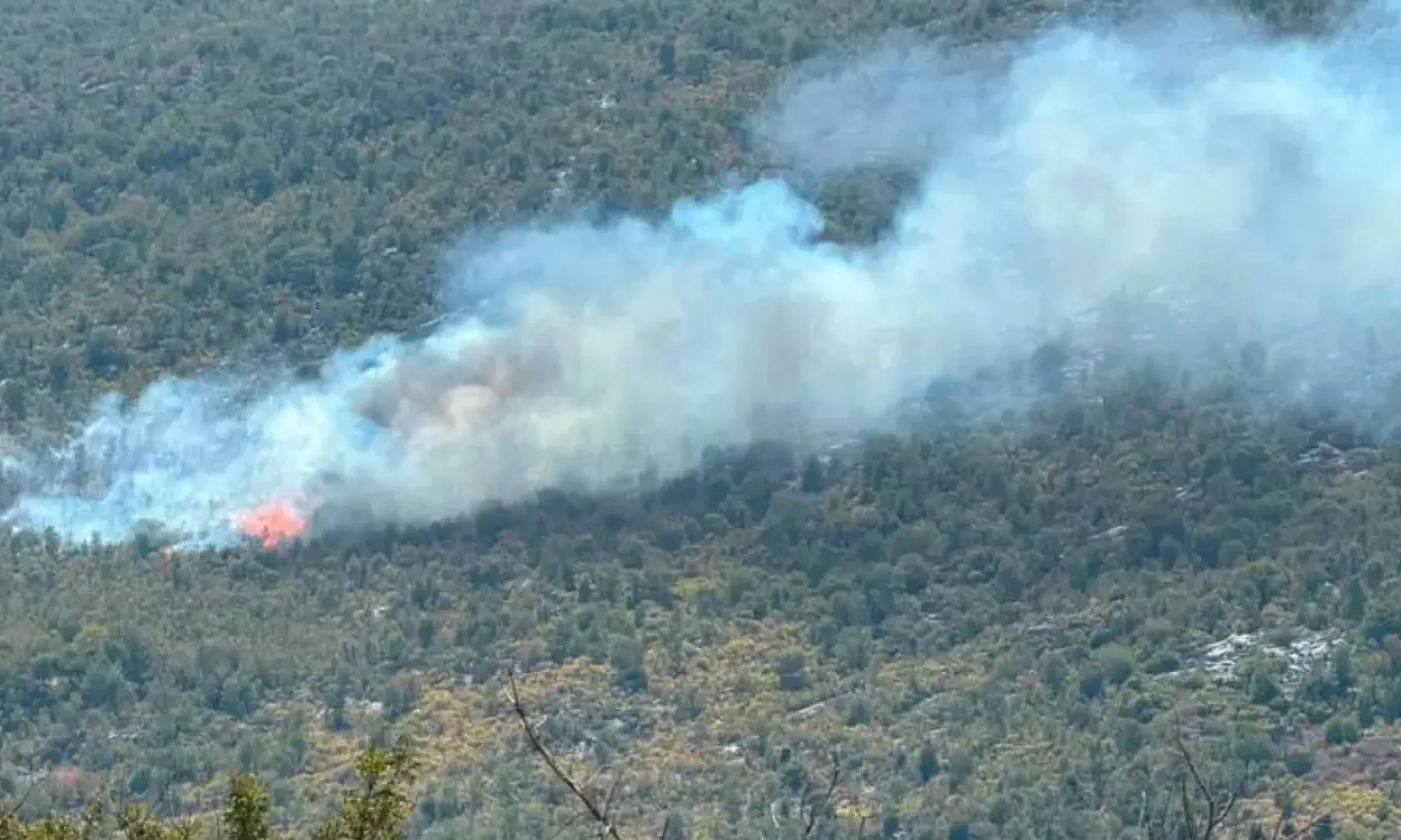 Ponovna aktivacija požara na lokalitetu Pauč, službe na terenu za gašenje