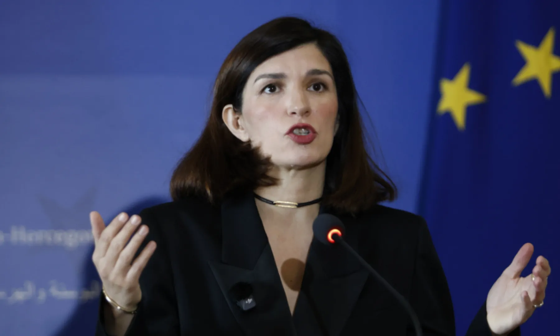 Sabina Ćudić podnijela ostavku na poziciju predsjednice Naše stranke