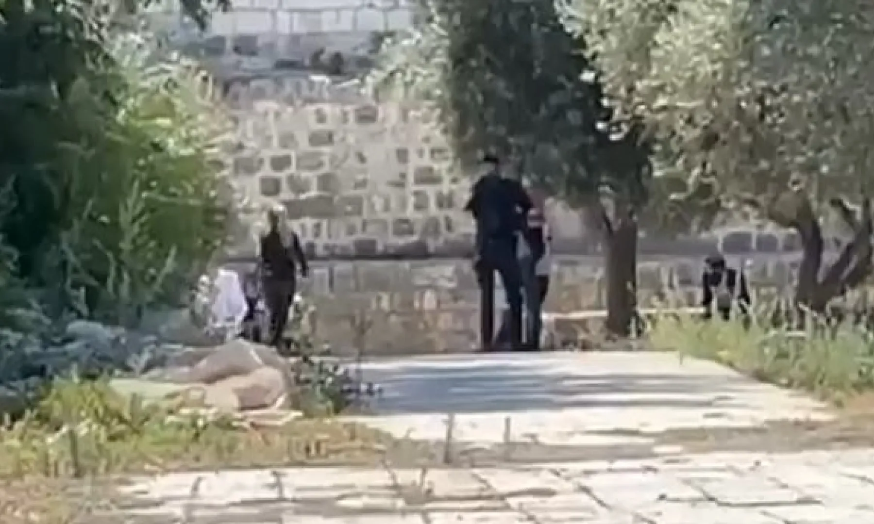 Izraelci pod zaštitom policije upali u prostor džamije Al-Aqsa u okupiranom Jerusalemu