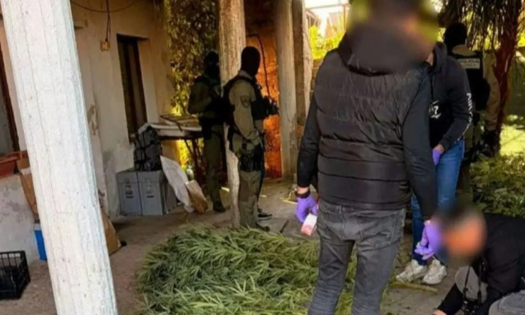 Federalna uprava policije izvršila pretrese u Čapljini, pronađena plantaža kanabisa i uhapšene dvije osobe