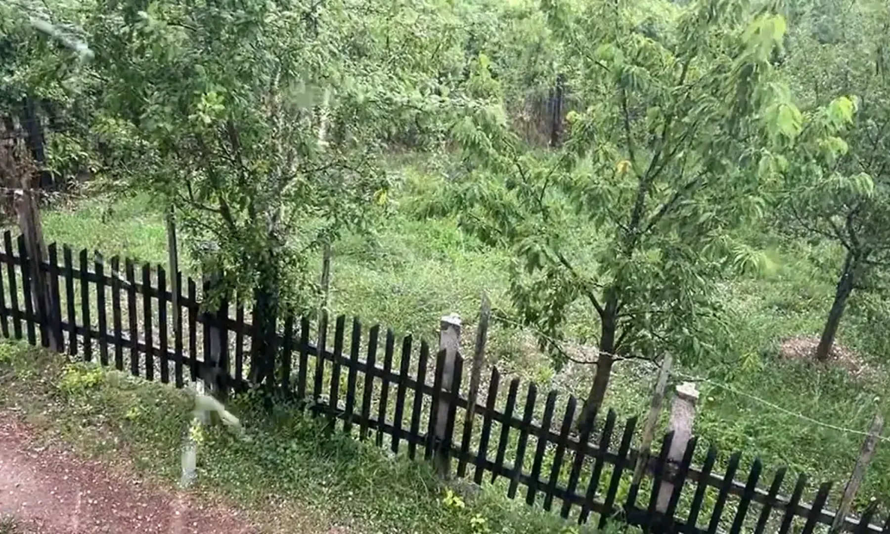 Nevrijeme pogodilo dijelove BiH, u Rogatici zabilježen grad veličine lješnika