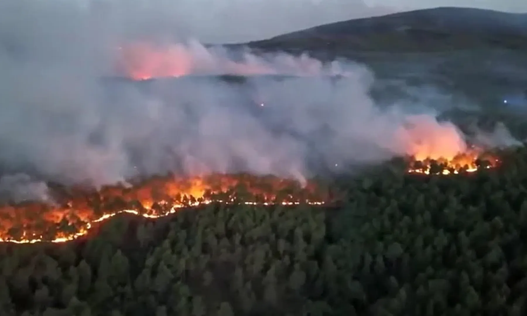 U Lozoyueli uhapšen muškarac zbog sumnje na podmetanje požara koji zahvatio 700 hektara šume kod Madrida