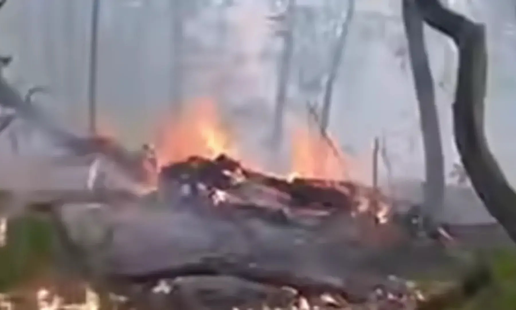 Šumski požar u Sasini kod Sanskog Mosta ugrožava crkvu i uništava voćnjake, struja isključena zbog opasnosti