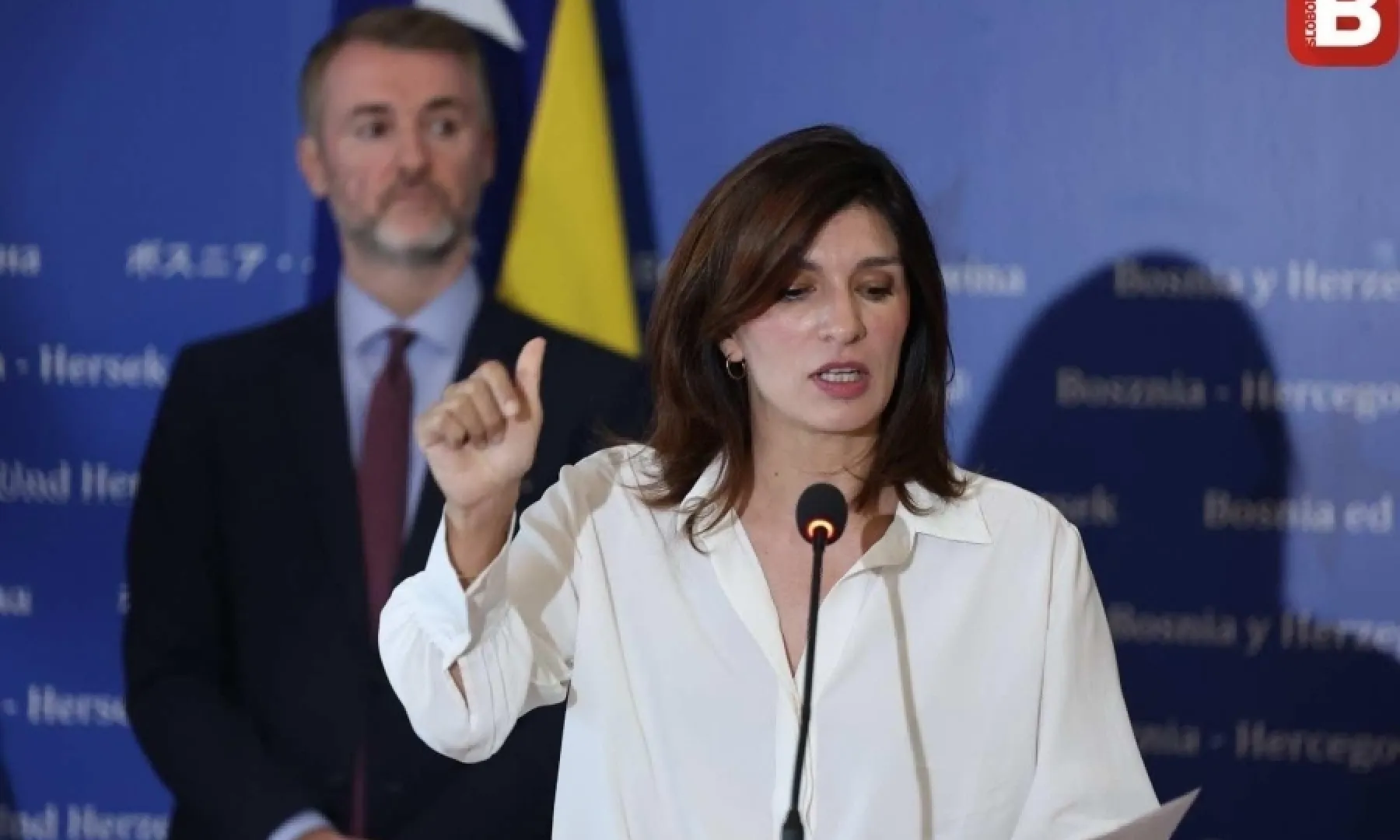 NEOČEKIVANA ODLUKA: Nakon neopozive ostavke Sabine Ćudić, odlučeno da izbor novog rukovodstva Naše stranke...