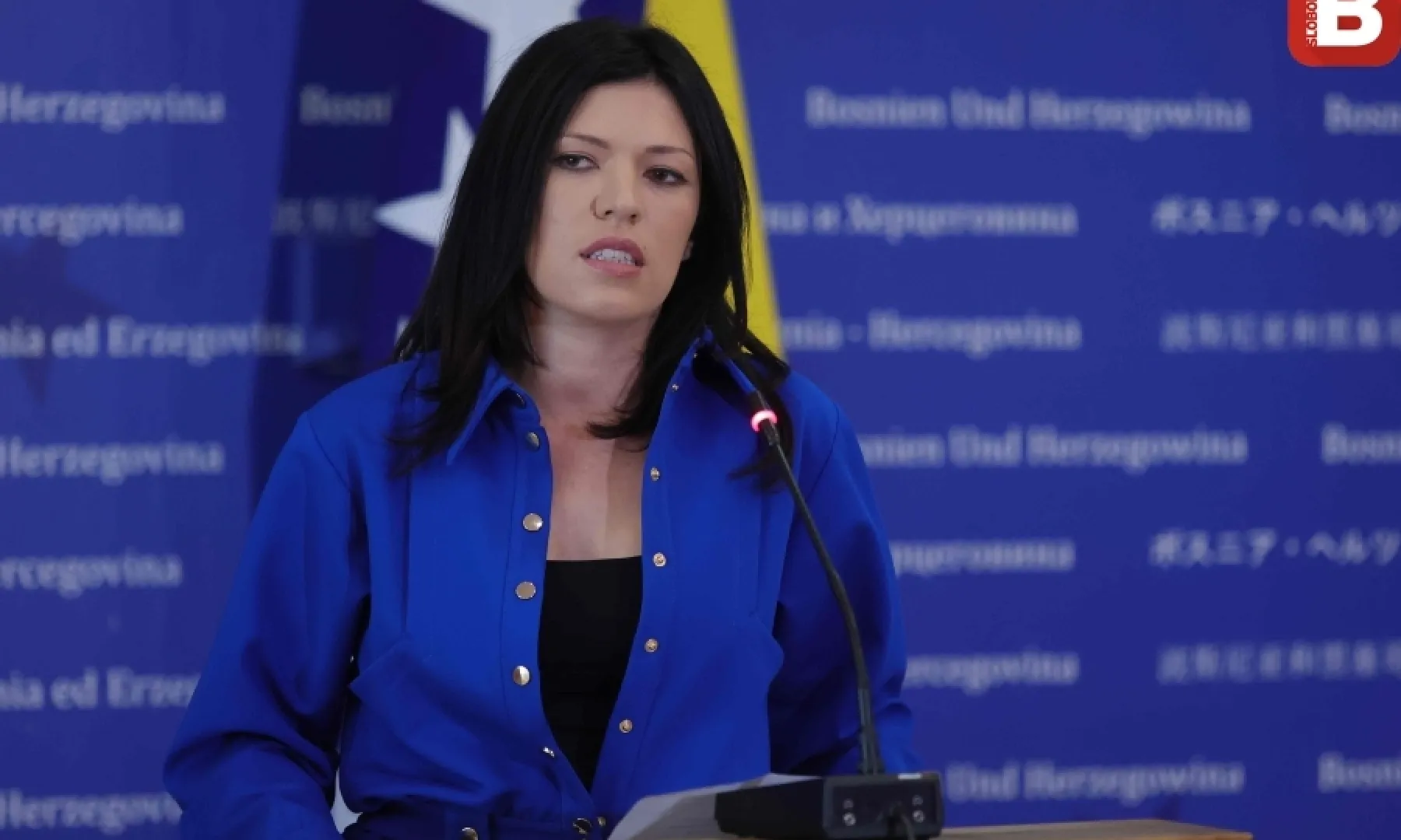 CIK BiH pokrenuo postupak protiv Sanje Vulić zbog preuranjene kampanje i izjava o novim tehnologijama
