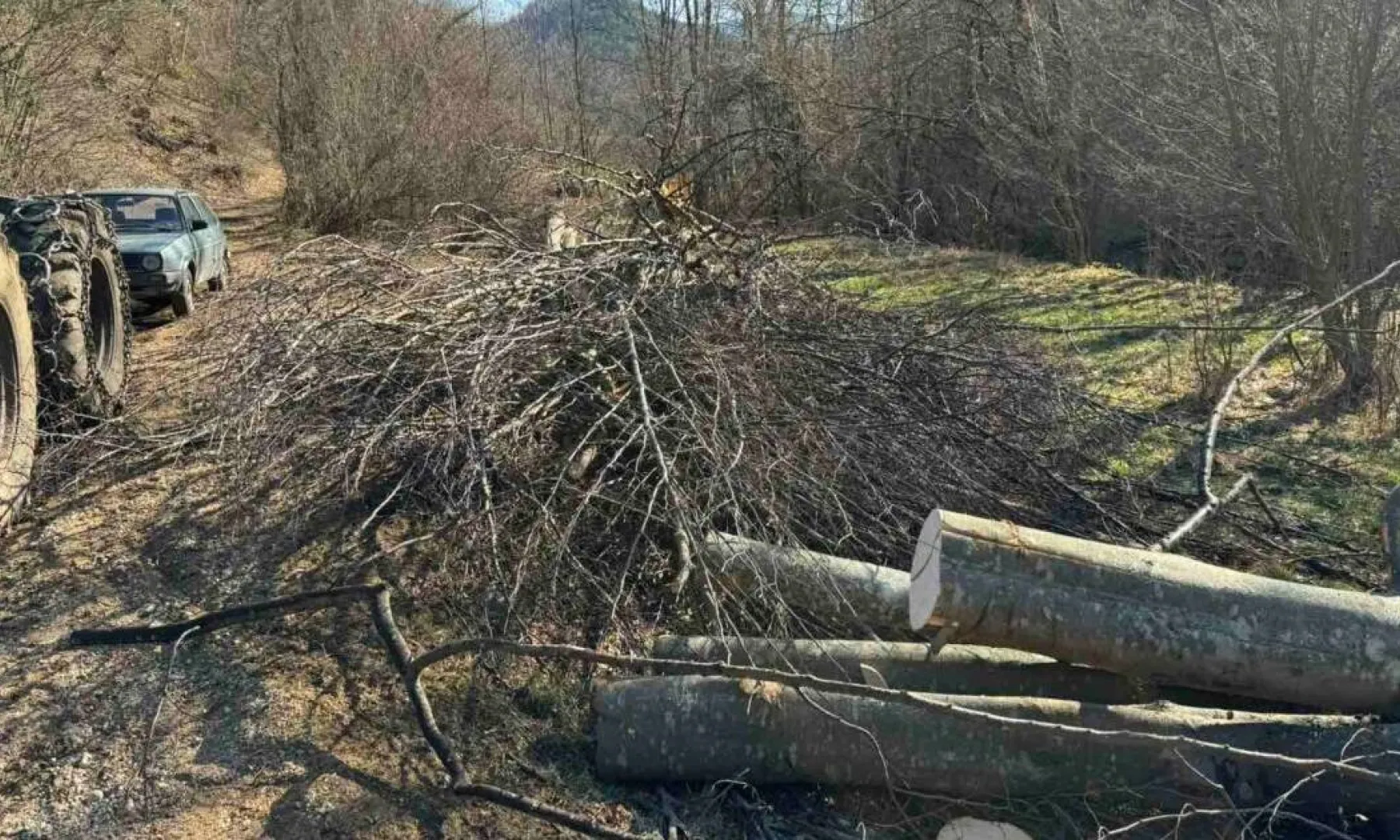 Radnik poginuo tokom sječe šume u blizini Sarajeva