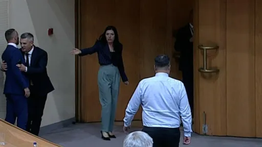 ZASTUPNICI U PD PS BiH MALO SU NERVOZNI I PUNO PLAĆENI: Kritike teško podnose, a neki bi se i tukli (VIDEO)