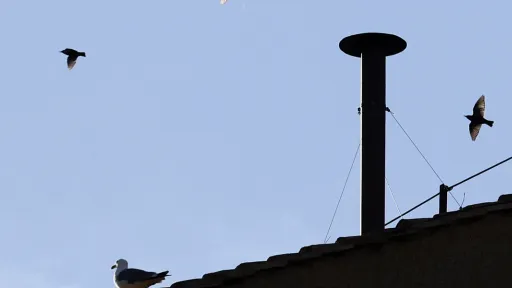 Za koliko novca Vatikan iznajmljuje pozicije s najboljim pogledom na dimnjak: Plaća se suhim zlatom