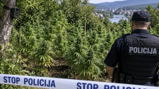 Trojici mu&scaron;karaca iz Bosanske Krupe određen jednomjesečni pritvor zbog sumnje u neovla&scaron;tenu proizvodnju opojnih droga