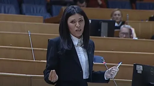 Vulić: SNSD neće podržati ukidanje akciza na gorivo