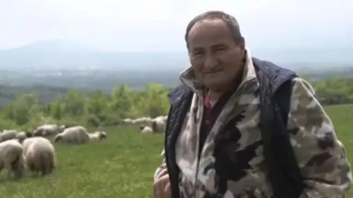 VIDEO Pala prodaja janjadi u Krajini uoči 1. maja: “Možeš ti cijeniti koliko hoćeš, ali koliko ćeš prodati…”