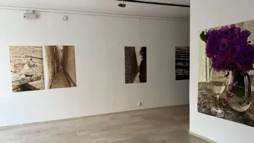 Izložba radova Branke Kopecki "Pod okriljem Kairosa" otvara se u Galeriji "Roman Petrović"