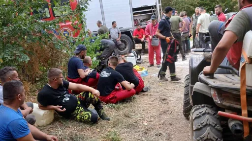 Požar u Maloj Gomili kod Cazina lokalizovan nakon vi&scaron;esatne intervencije vatrogasaca i &scaron;umskih radnika