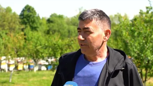 Pčelari u BiH zabrinuti zbog velikog pomora pčela, poznati uzroci