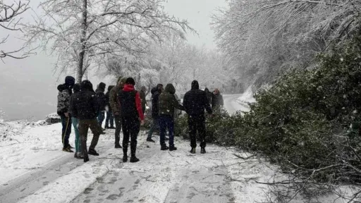 Zaustavljen saobraćaj zbog oborenog stabla, brojni problemi na bh. cestama