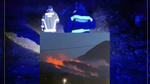 Požar u Gomila kod Bihaća aktivan, vatrogasci se bore s jakim vjetrom i detonacijama u miniranom području