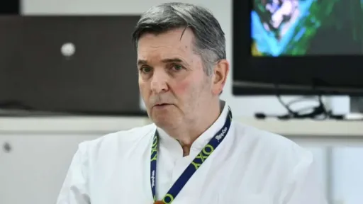 Gavrankapetanović ismet