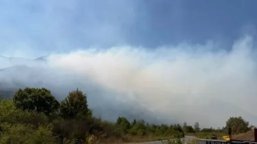 Požar na ulazu u Bihać ponovo aktivan zbog jakog vjetra, zatražen helikopter OSBiH