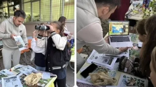 Bihać ugostio Evropsku noć istraživača, gdje su mladi učili o tragovima vuka, medvjeda i risa