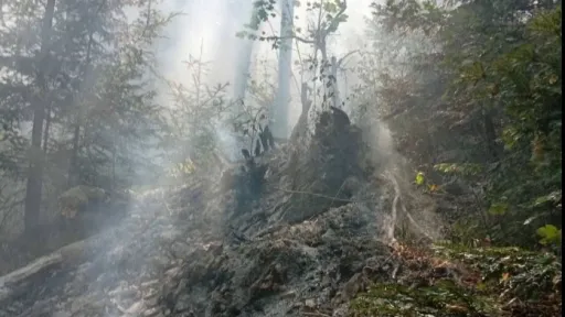 Požar na Plješevici pod kontrolom, ekipe Civilne zaštite i Oružanih snaga aktivno rade na sprječavanju širenja vatre