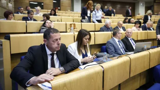 Kakvi su stavovi parlamentaraca uoči vanredne sjednice Doma naroda o Južnoj interkonekciji