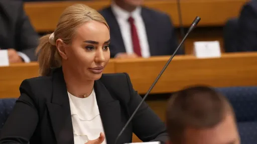 Poznati kriminalaci sukobili se ispred kafića Nikoline Šljivić. Jedan od njih je osuđivani ubica
