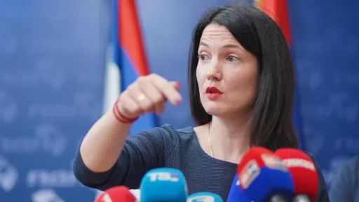 JELENA TRIVIĆ U NEVJERICI: "Ovdje je na sceni svjesna namjera urušavanja..."