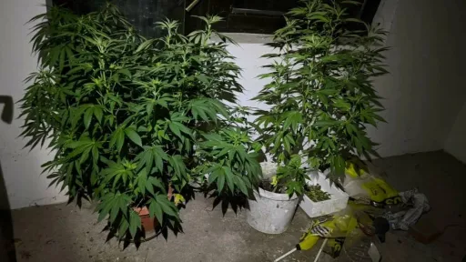 Policija u Doboju izvr&scaron;ila pretrese i zaplijenila drogu u okviru akcije "Plantaža 2026