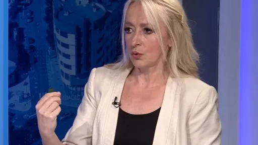 Unutrašnji sukobi u SDS-u: Pandurević traži poništenje odluke o isključenju Ljubiše Petrovića i razmatra budućnost stranke