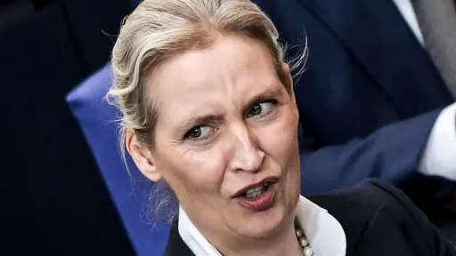 Istraživanje otkriva moguće prešutne informacije Alice Weidel o ilegalnoj donaciji od 132.000 eura za kampanju AfD-a