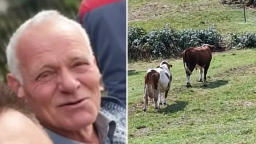 Bik napao Ibrahima &Scaron;kahića (76) na njivi kod Srebrenika, preminuo od povreda