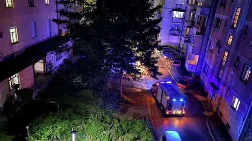 Zmija se zavukla u stan u Konjicu, vlasnicu alarmirale komšije, intervenirali i vatrogasci