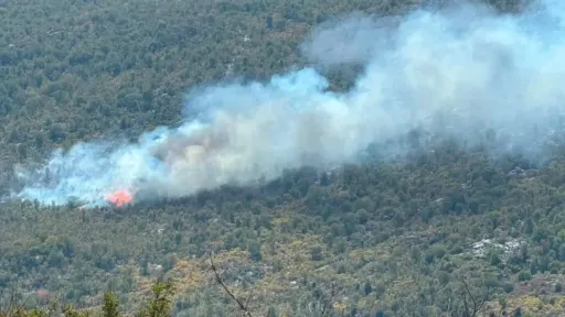 Ponovna aktivacija požara na lokalitetu Pauč, službe na terenu za ga&scaron;enje